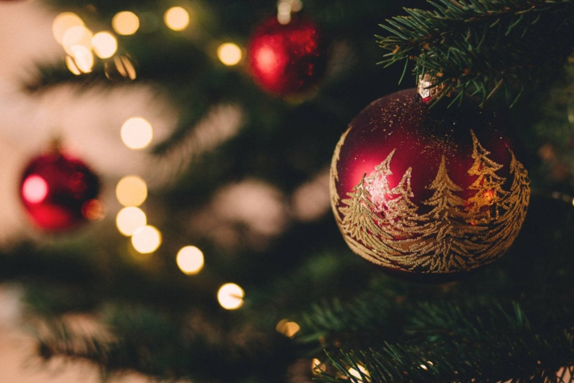 <p><em>Nos Sapins </em></p><p>de Noël </p>